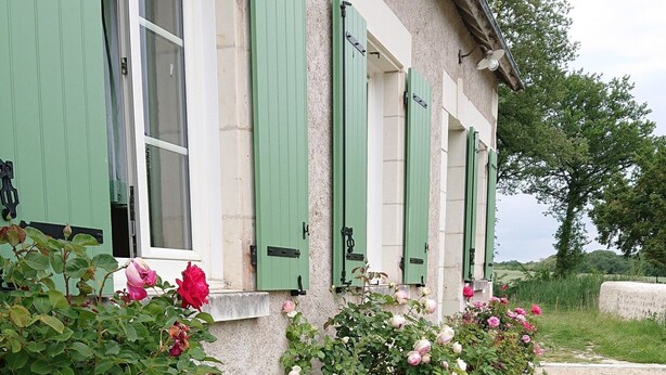 Un edificio con contraventanas verdes y un jardín lleno de rosas.