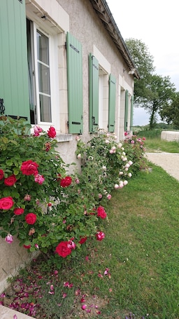 Exterior detail. Southern Touraine farmhouse in the heart of the Loire Valley