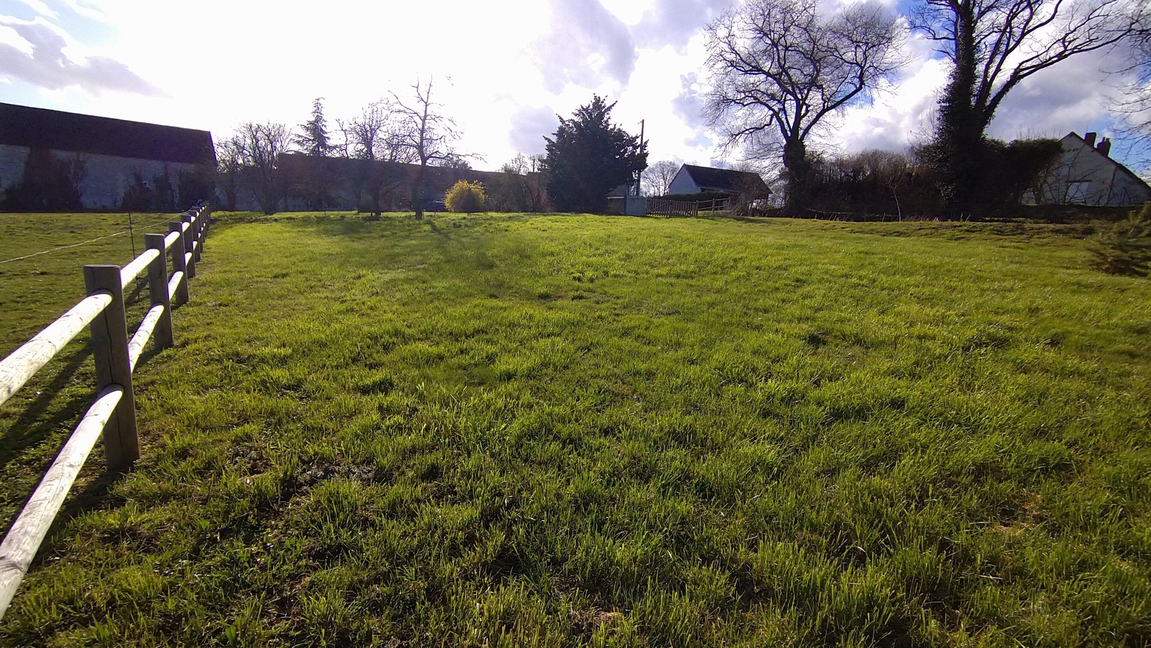 Een grasveld met een houten hek, bomen en huizen op de achtergrond.