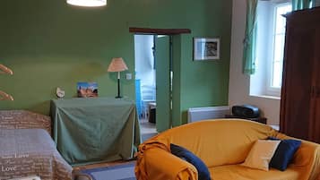 Smart TV, fireplace, DVD player
