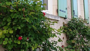 Un edificio con contraventanas verdes, una ventana con marco blanco y un rosal al frente.