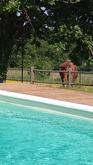 Piscine extérieure, piscine chauffée