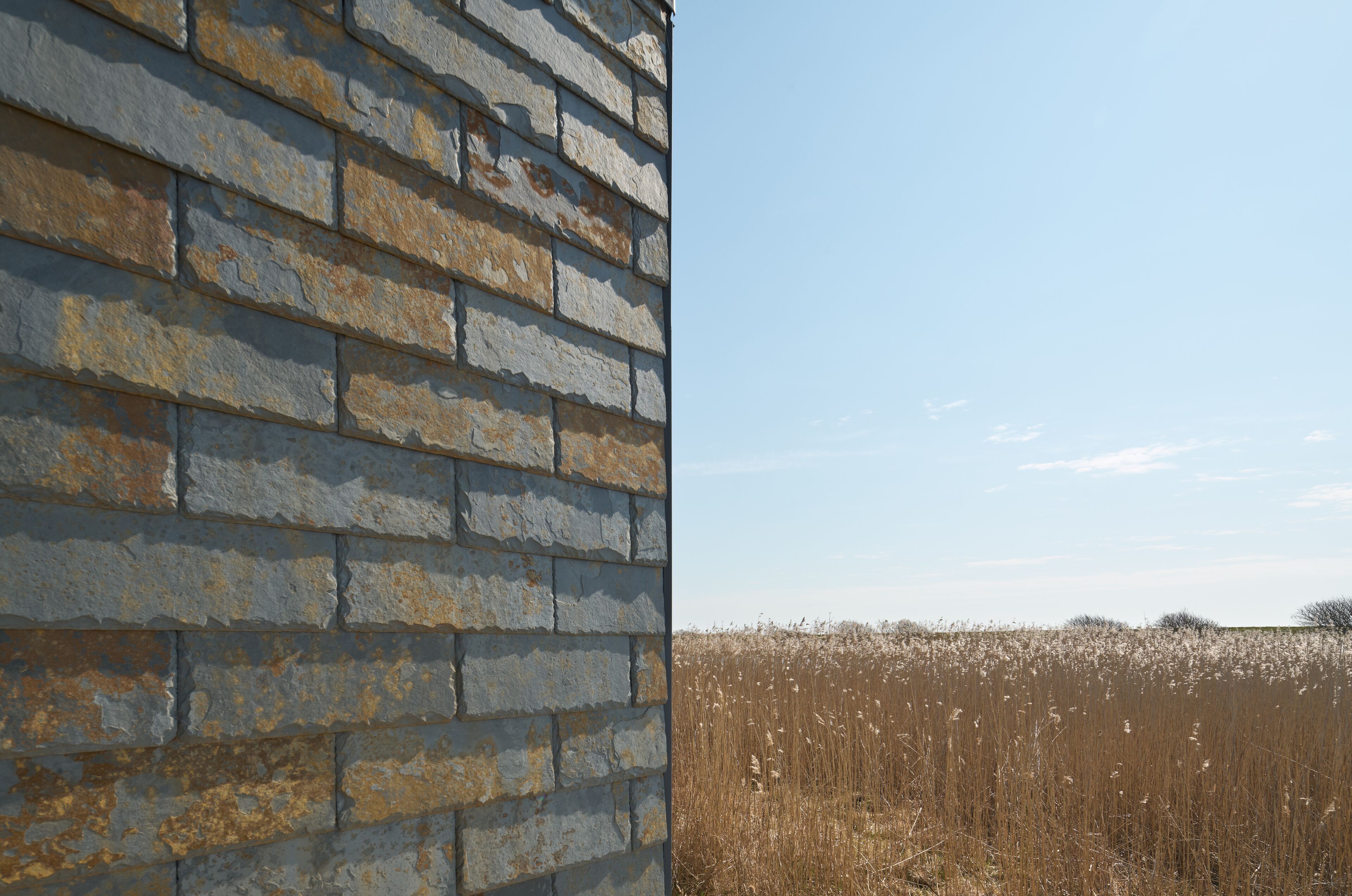 A rustic brick wall and a field of tall, dry grass.