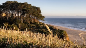 A coastal landscape with a beach, dense trees, and tall grasses. - Expansive Ocean Views-Prime Condo at Seascape! (Aptos)
