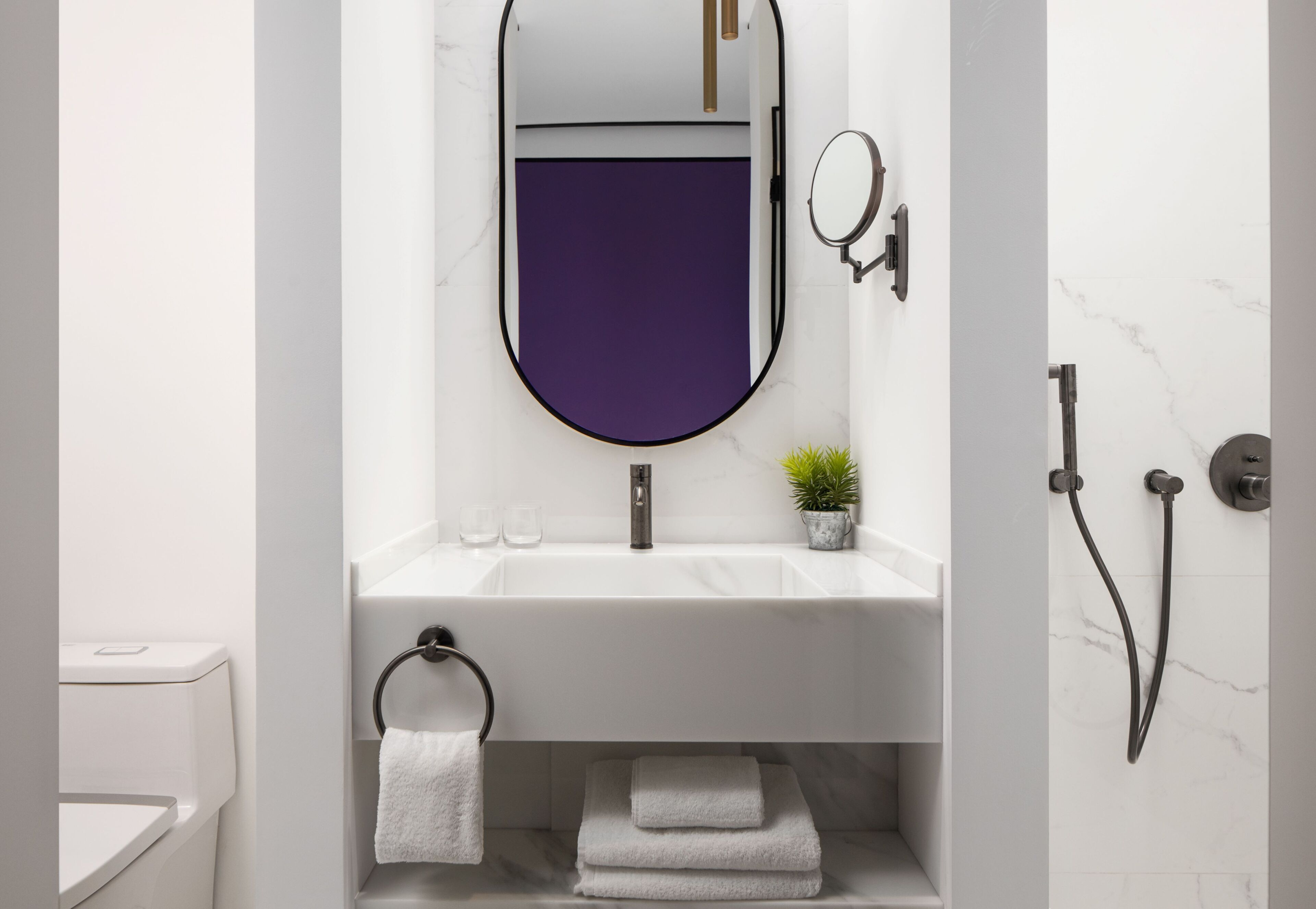 A modern bathroom with a white sink, a large mirror, a small potted plant, and a shower with a handheld showerhead.