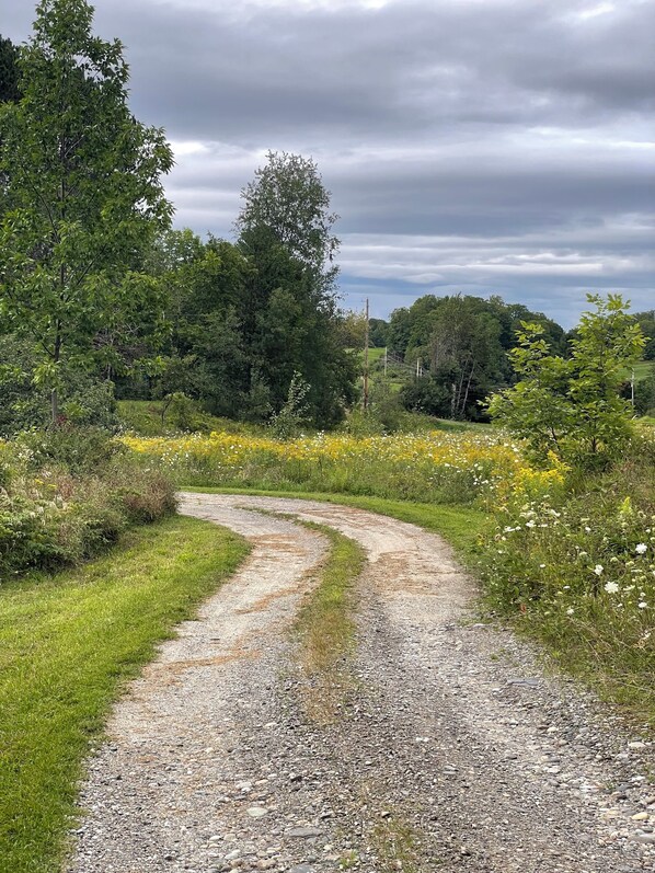 A gravel path winding through a green landscape with trees and wildflowers. -  "Little House" a sweet cabin near Maple Corner & Montpelier, Calais, Vermont (Calais)