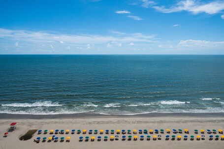 SpringHill Suites by Marriott Myrtle Beach Oceanfront - Image 16