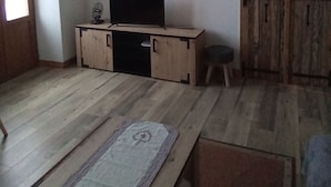 Une pièce avec un plancher en bois, un téléviseur posé sur un meuble en bois, un porte-vélo et une porte au design rustique.