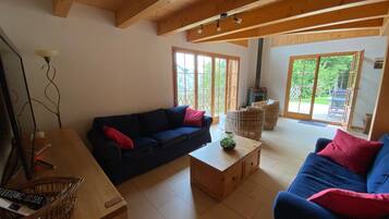 TV, fireplace, DVD player, books