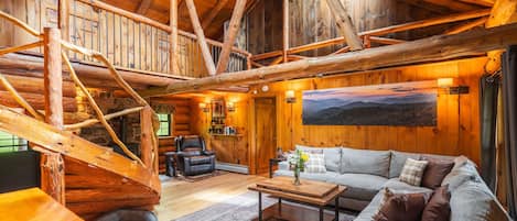 Smart TV, fireplace, video games, books