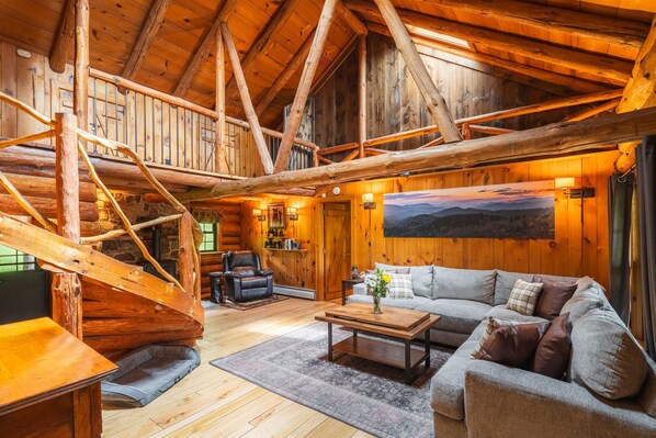 Smart TV, fireplace, video games, books