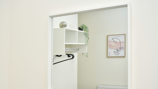 A room with a white radiator, a hanging plant, and a framed artwork on the wall.