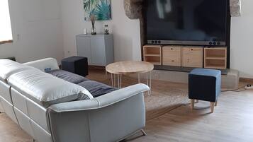 Televisión y libros