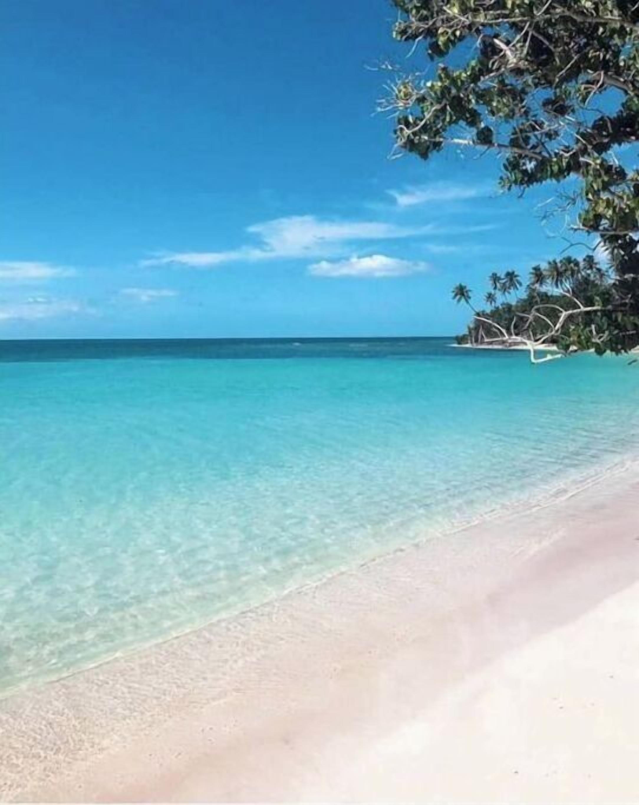 بالقرب من الشاطئ، كراسي للتشمس، مناشف للشاطئ