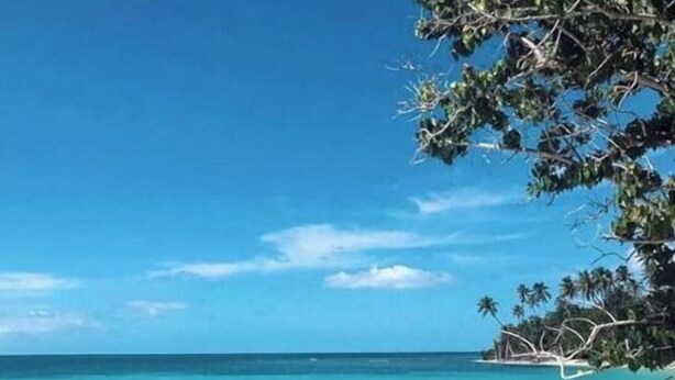 A beach with clear turquoise water, white sand, and palm trees. - Villa Valeria - An eco hideaway with all the modern luxuries (Cabo Rojo)