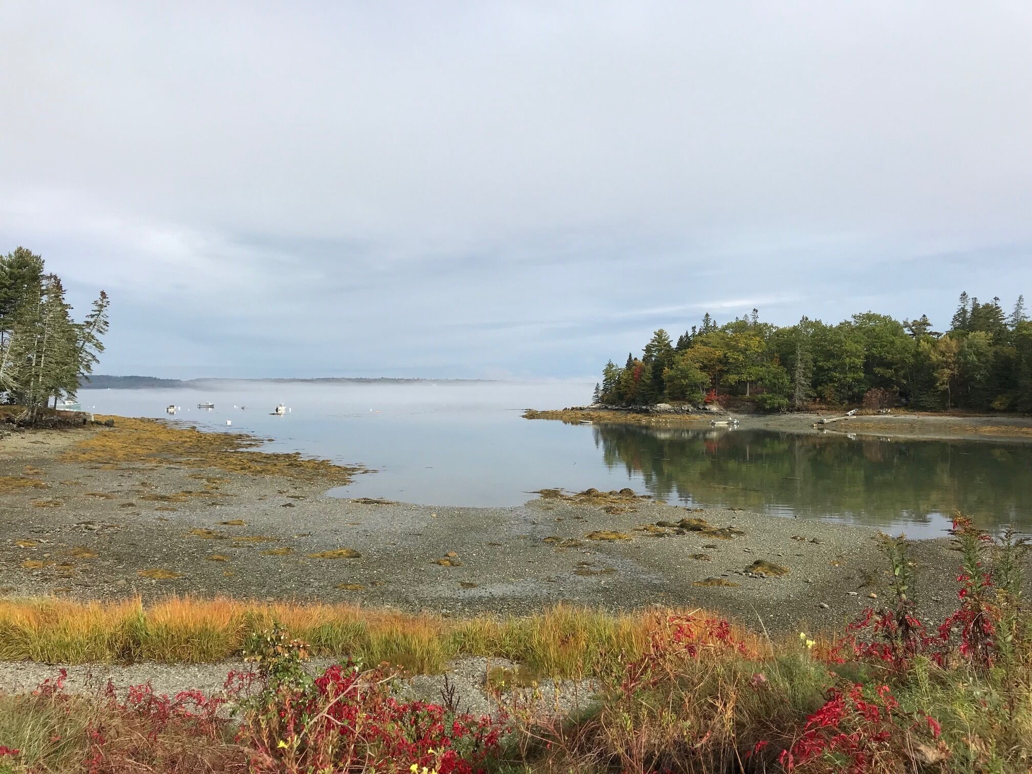 Vlak bij het strand, strandlakens