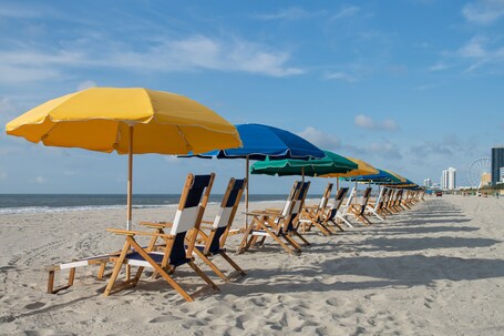 Courtyard by Marriott Myrtle Beach Oceanfront - Image 3