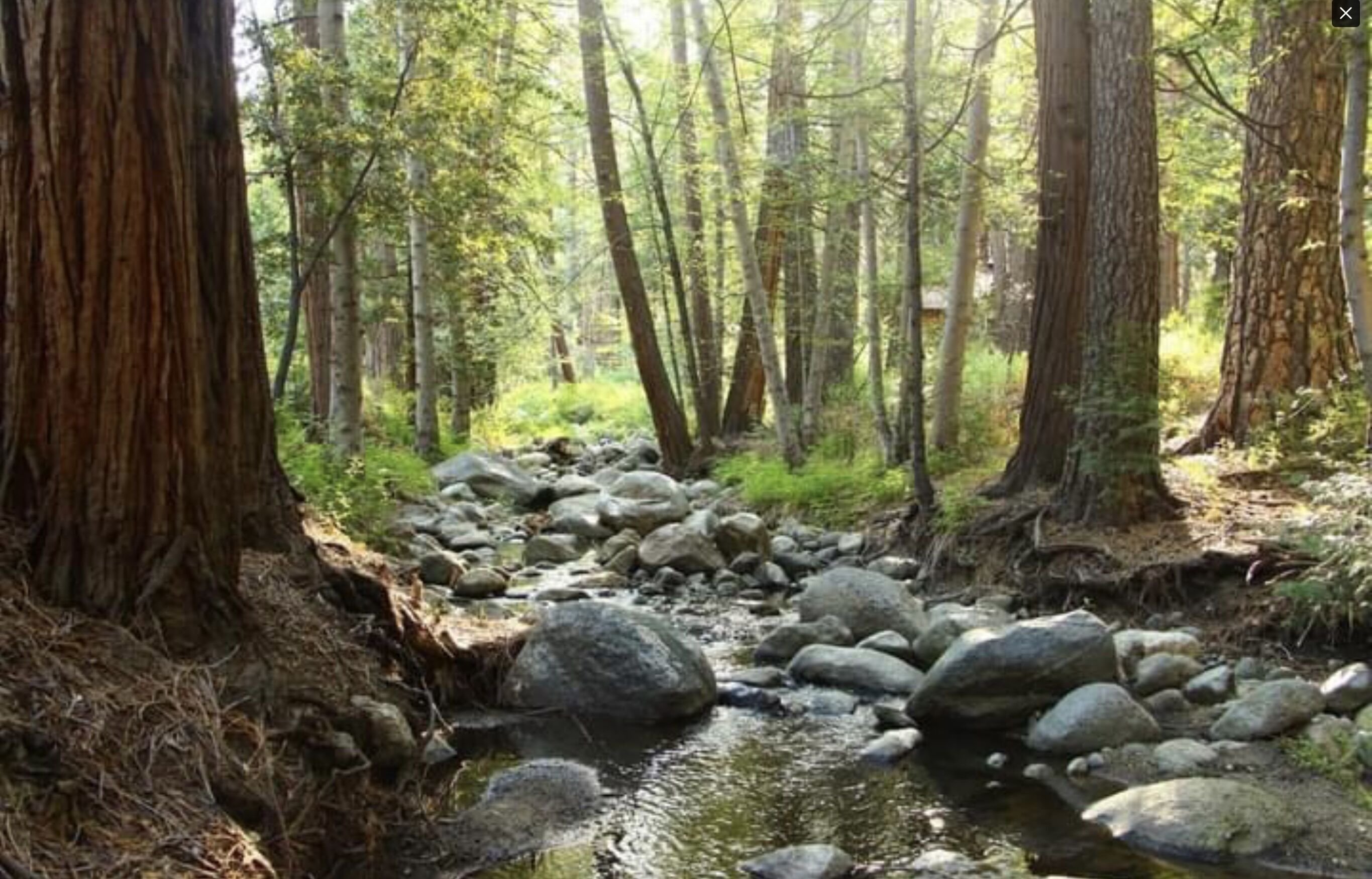 Strawberry Creek Cabin w Hot Tub — 2-Min Stroll To Town!