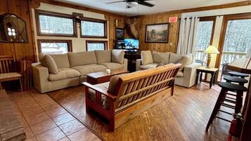 Télévision, cheminée, lecteur de DVD, chaßne hi-fi