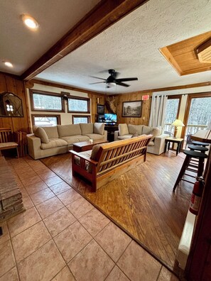 Télévision, cheminée, lecteur de DVD, chaîne hi-fi