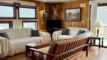 Télévision, cheminée, lecteur de DVD, chaßne hi-fi