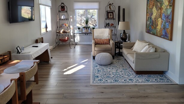 Un salon comprenant un canapé, une table basse, un téléviseur, un coin repas avec des chaises et une table, ainsi qu’un coin cuisine avec une chaise et une étagère.