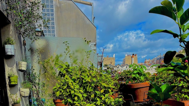 Eine Dachterrasse mit Kübelpflanzen, einer Holzterrasse und Blick auf die Stadtlandschaft.