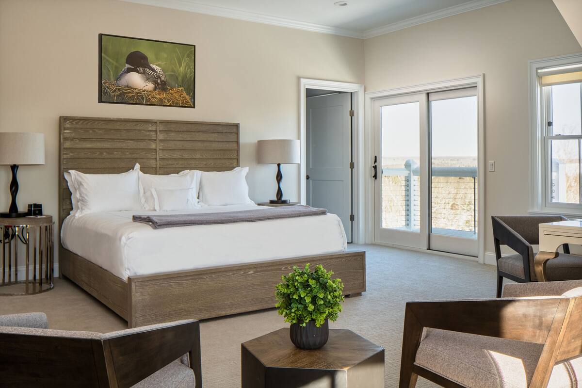 A hotel room with a large bed, two bedside tables with lamps, a small potted plant, and a view of the outdoors through a door.