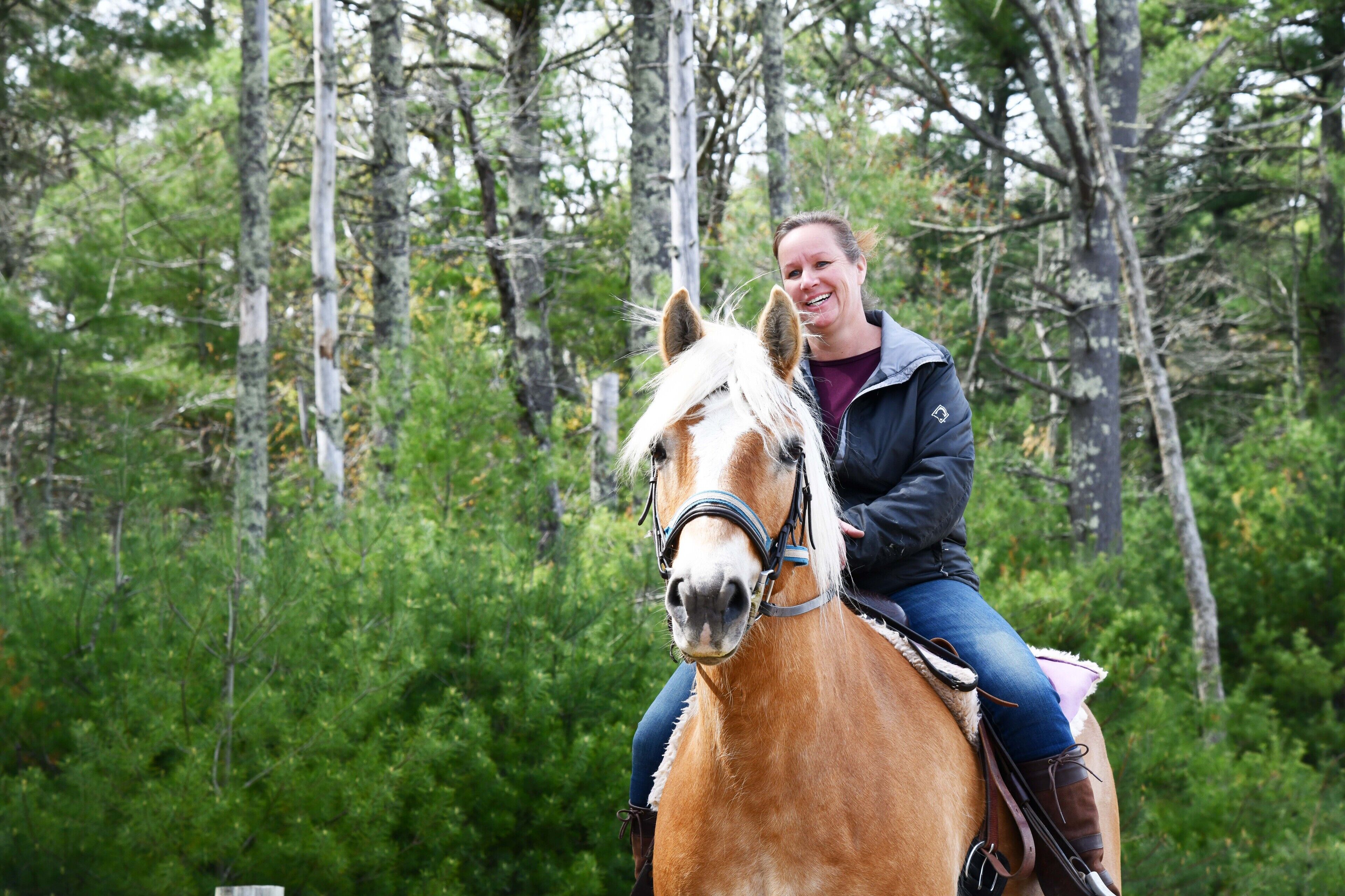 A person riding a horse in a forested area.