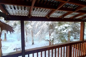 Property grounds - Central ANC Creekside Retreat: Direct Trail Access (Anchorage)