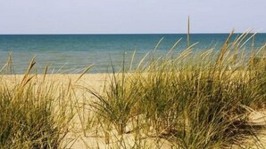 Una playa con arena y pastos altos al frente.
