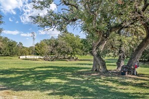 A rural landscape with a windmill, trees, and hay bales.