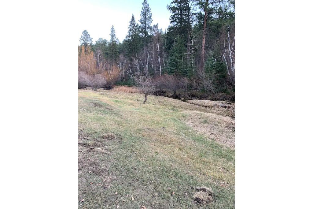 Brand NEW in 2022! Soder Cabin in Keystone, United States