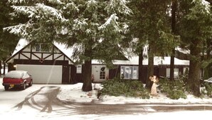 Uklassifisert bilde, 2 av 39, knapp