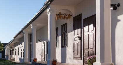 Large apartment with terrace 1200sqm garden in central Burgenland