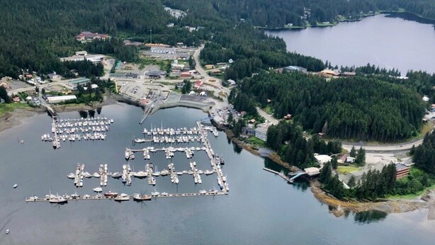 An aerial view of a marina with boats docked, surrounded by forested hills and a lake. - Biker's Bungalow - Near Mendenhall Glacier and Auke Bay Offering DISCOUNT ON TOURS! (Juneau)