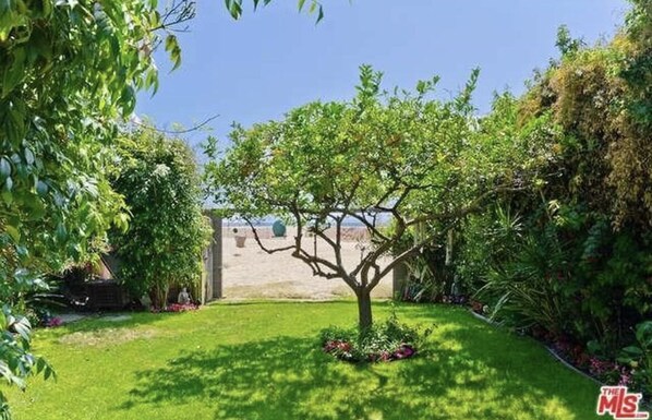 Property grounds - Beautiful Ocean Front Living (Santa Monica)