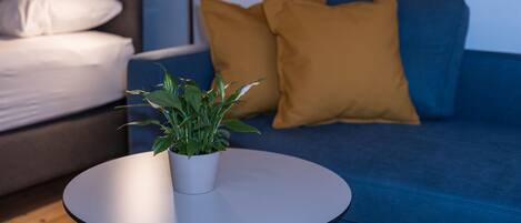 1 bedroom, in-room safe, iron/ironing board, WiFi