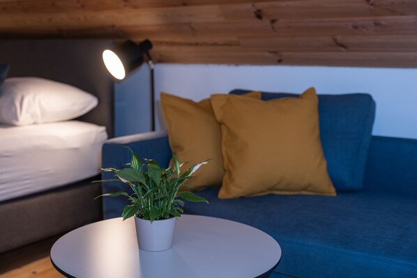 1 chambre, coffres-forts dans les chambres, fer et planche à repasser