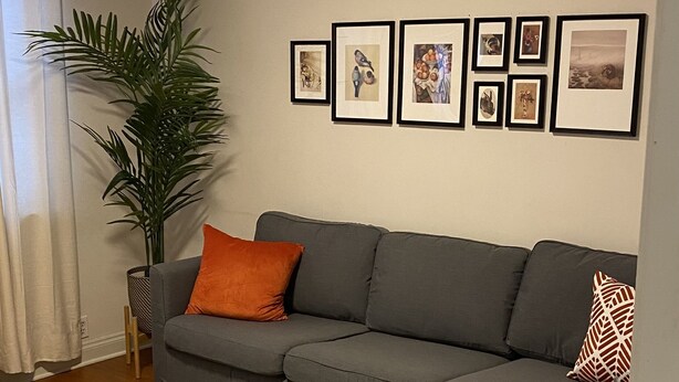 A living room with a grey sectional sofa, a white coffee table, and a large potted plant.