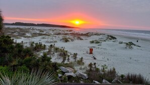 Une plage avec un coucher de soleil, des dunes de sable et un panneau concernant les chiens.