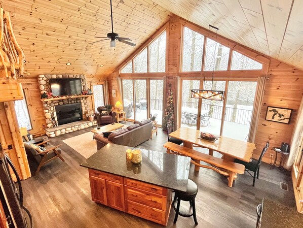 Smart TV, fireplace, video games, video library