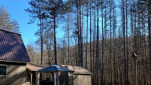 A wooden cabin with a metal roof, a covered porch, and a small shed in a forested area. - Play & Stay near State Parks & Seven Springs (Champion)