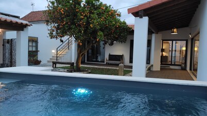 Laranjeira das Loiras