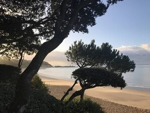 Playa en los alrededores 