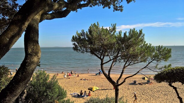 A beach with people sunbathing and swimming, surrounded by trees and a clear sky. - Saint Palais sur Mer - VERY NICE RECENT HOUSE - near the GOLF (ST PALAIS SUR MER)