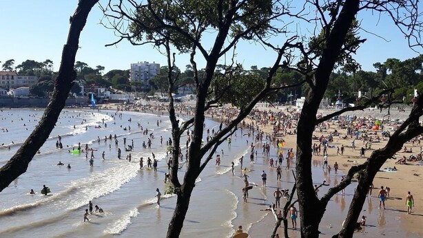 Une plage bondée où l’on voit des gens se promener et nager.