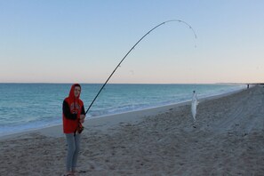A person fishing on a beach with a fishing rod and a fish on the sand. - A great family holiday (Green Head)