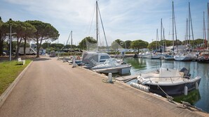 Una marina con barche ormeggiate, un vialetto lastricato e alberi sullo sfondo.