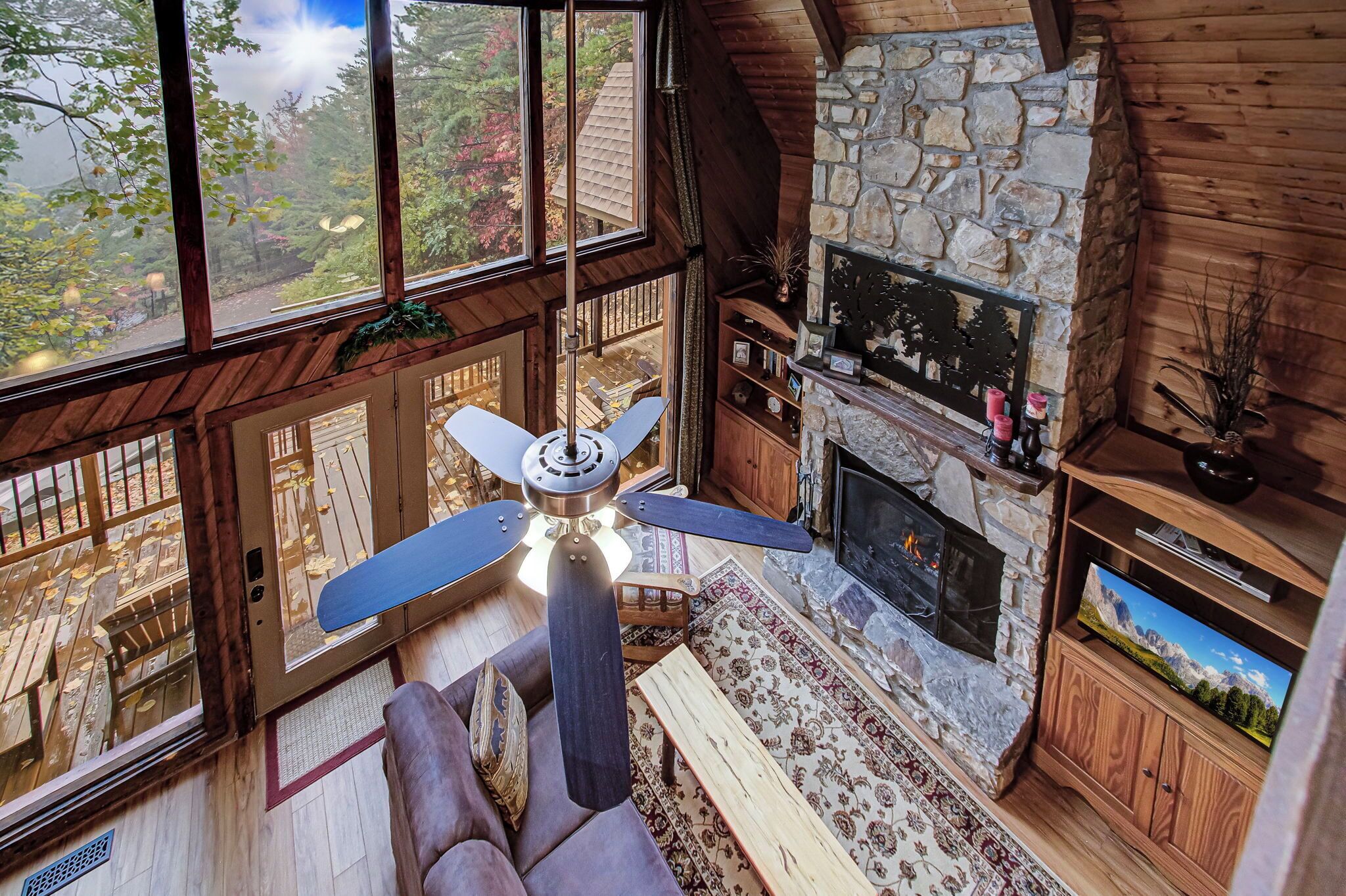 Smart TV, fireplace, video games, DVD player